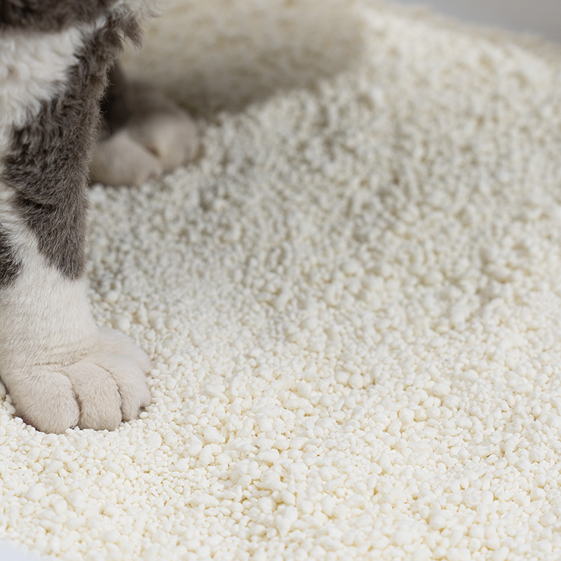 Segurança da cama de milho, prós e contras e as melhores alternativas para proprietários de gatos