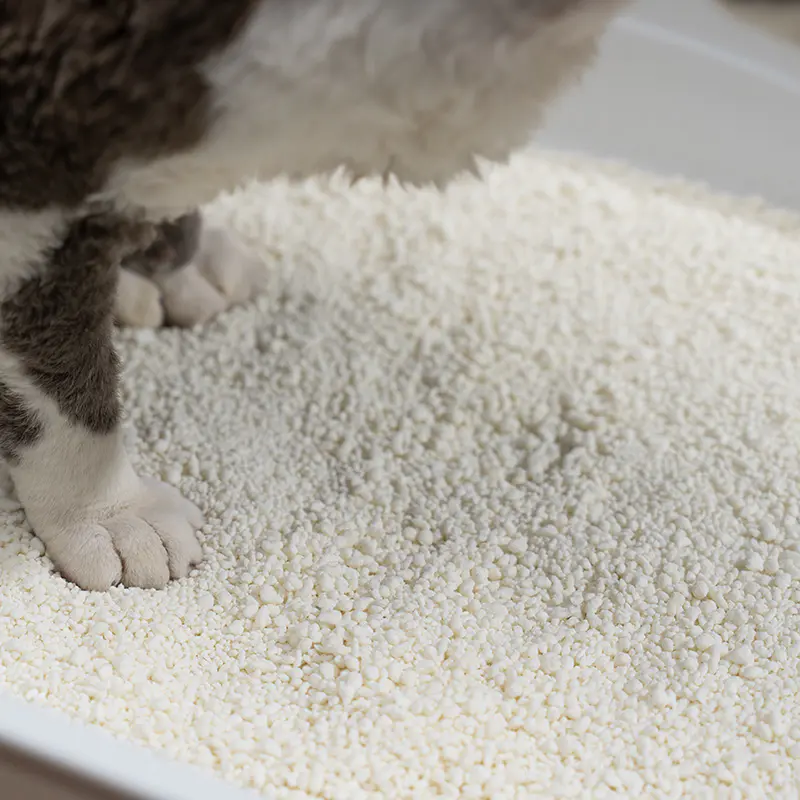 Cassava Plant-Based Cat Litter for Lightweight Clumping