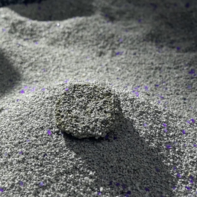 Escolhendo a melhor areia mineral para gatos: dicas práticas para uma casa mais limpa